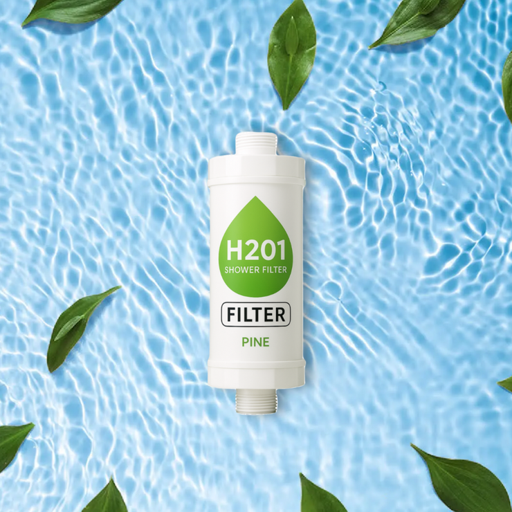 Pine H201 DuschFilter