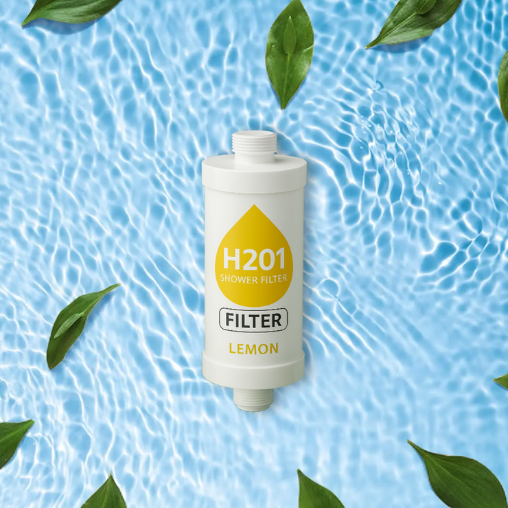 Lemon H201 DuschFilter