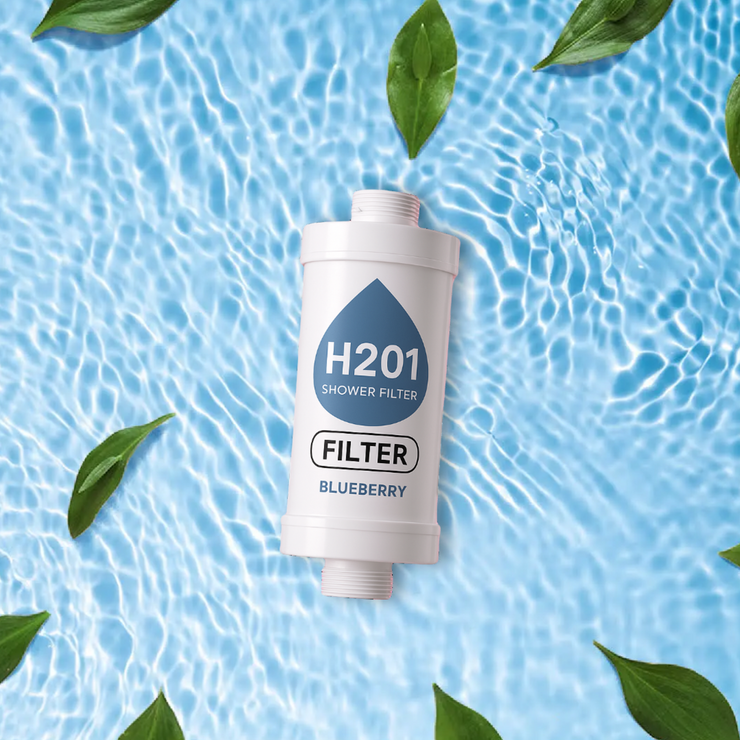 Blueberry H201 DuschFilter