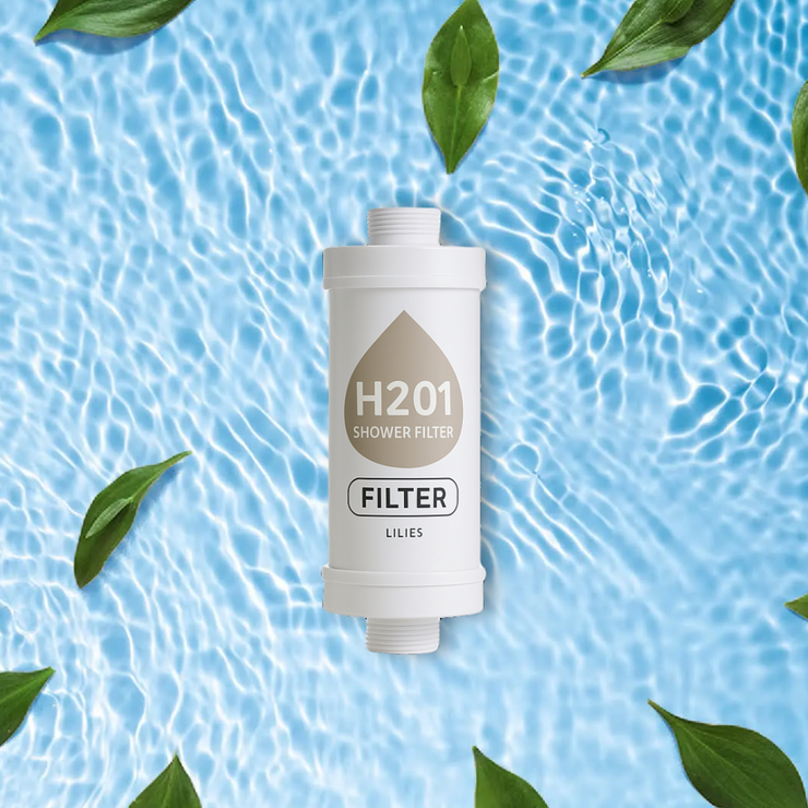 Lily H201 DuschFilter